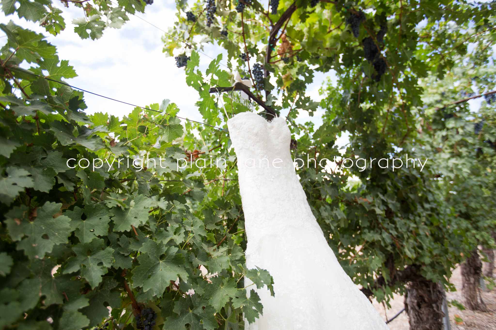 hollie and scott blog (6 of 154)