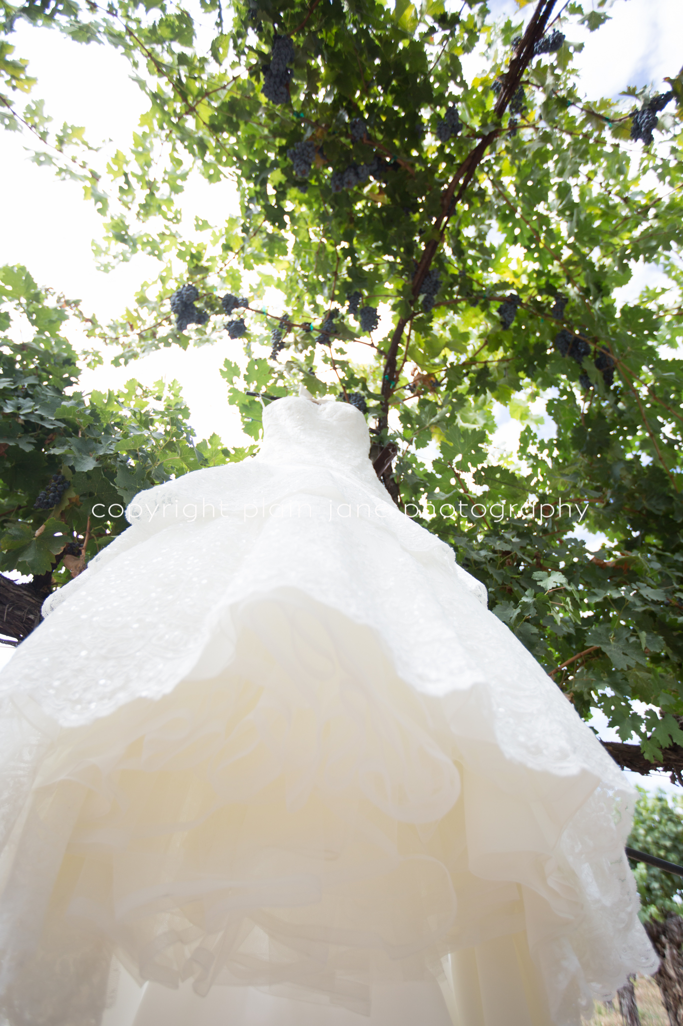 hollie and scott blog (7 of 154)