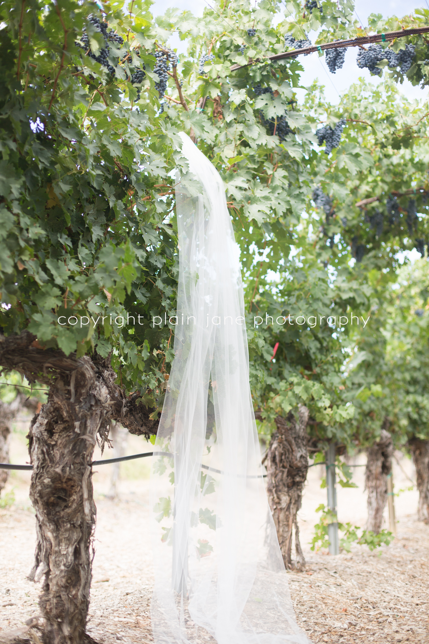 hollie and scott blog (8 of 154)